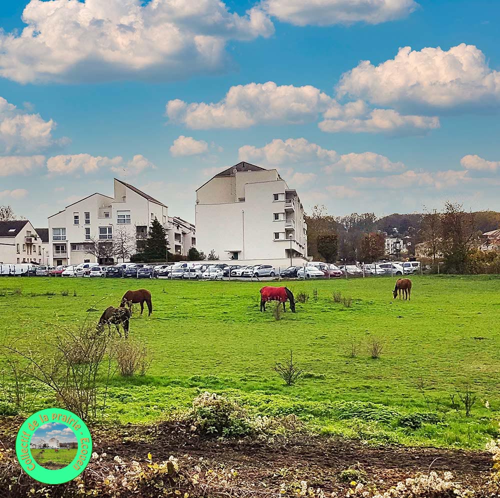 Prairie1000px avec logo