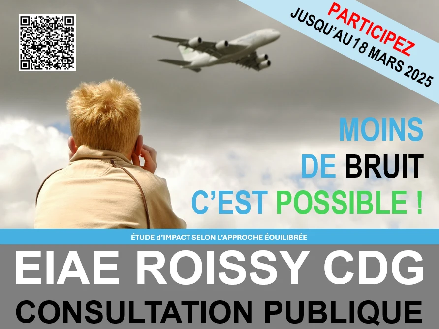 EIAE consultation