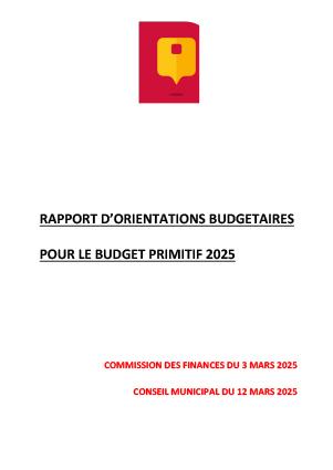 Microsoft Word - ROB 2025 VF